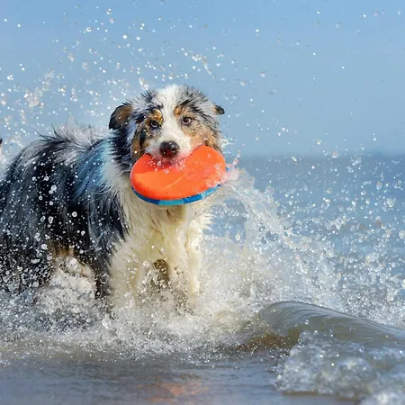 Yogasutra - Stilvolles 3-zimmer-apartment Mit Seeblick, Balkon & Sauna Krakow am See