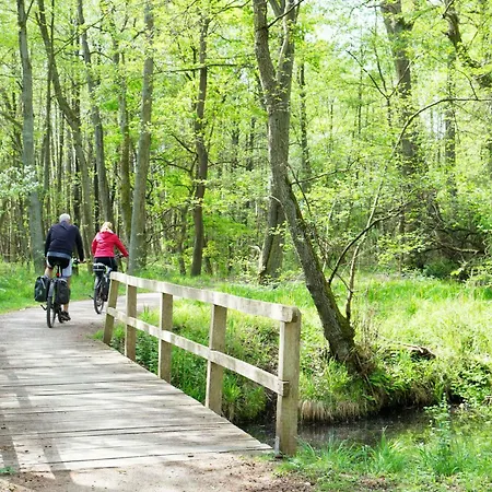 Lejlighed Yogasutra - Stilvolles 3-zimmer-apartment Mit Seeblick, Balkon & Sauna Krakow am See